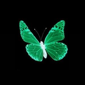 Meet your Posher, Genesis